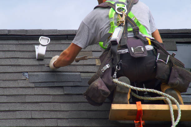 Best Best Roofing Contractors  in Palestine, IL