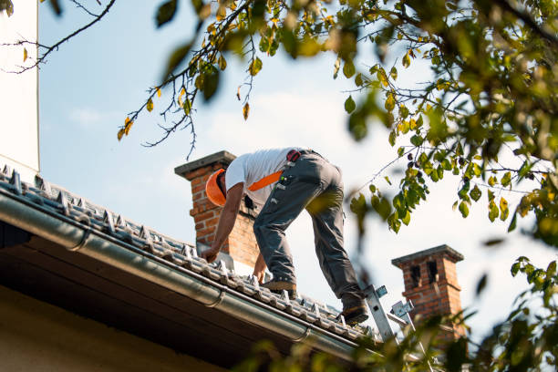 Best Flat Roof Repair Services  in Palestine, IL