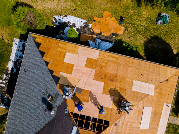Best Roof Leak Repair  in Palestine, IL