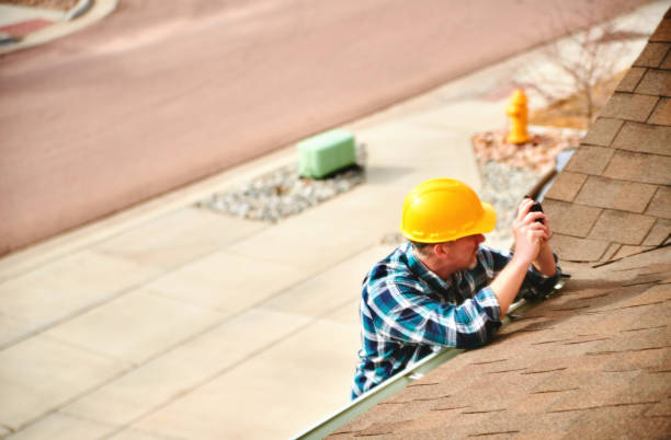Best Storm Damage Roof Repair  in Palestine, IL
