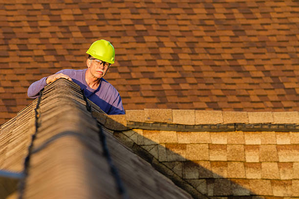 Best Roof Gutter Cleaning  in Palestine, IL